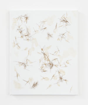 Residue (Side Effect) 2026 sn64246 Wjm Kok